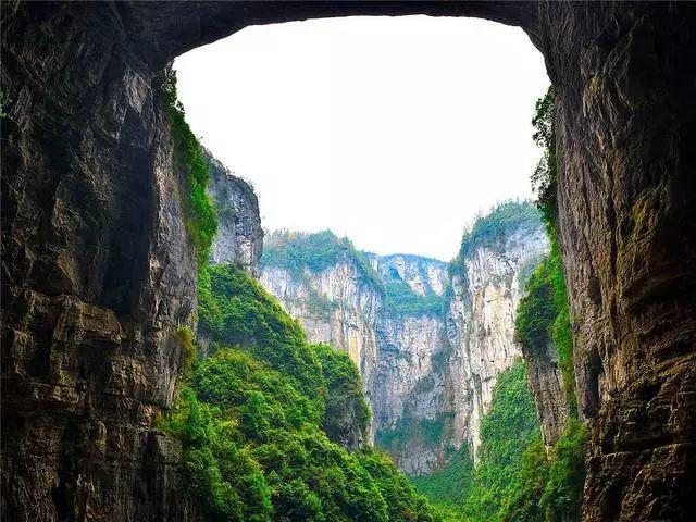 爱丽丝和闺蜜